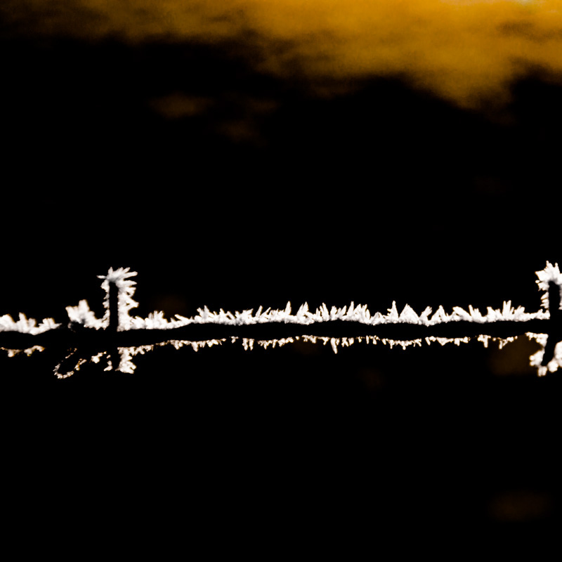 Lav gjestfrihet | Veggbilder | Fotokunst til salgs | Kunstfoto | Kunst | Foto | Bilde