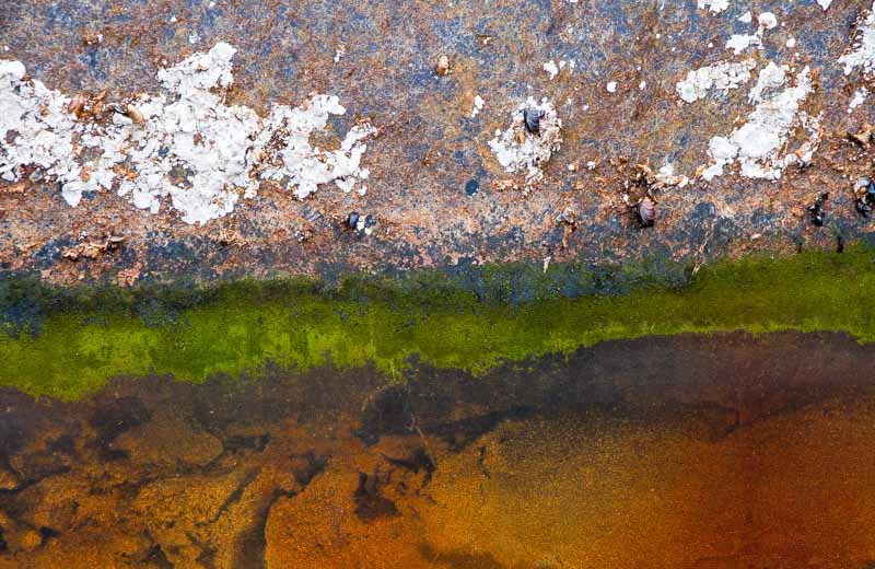 Gr&oslash;nn linje | Veggbilder | Fotokunst til salgs | Kunstfoto | Kunst | Foto | Bilde