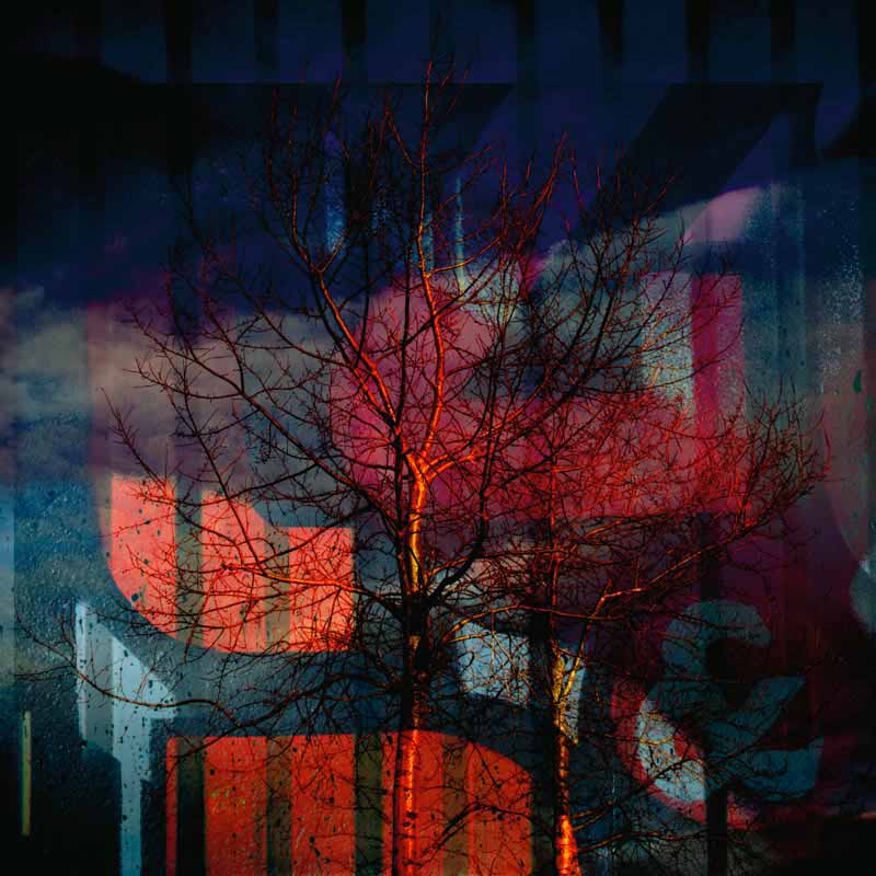 Bl&aring; og r&oslash;d h&oslash;st | Veggbilder | Fotokunst til salgs | Kunstfoto | Kunst | Foto | Bilde