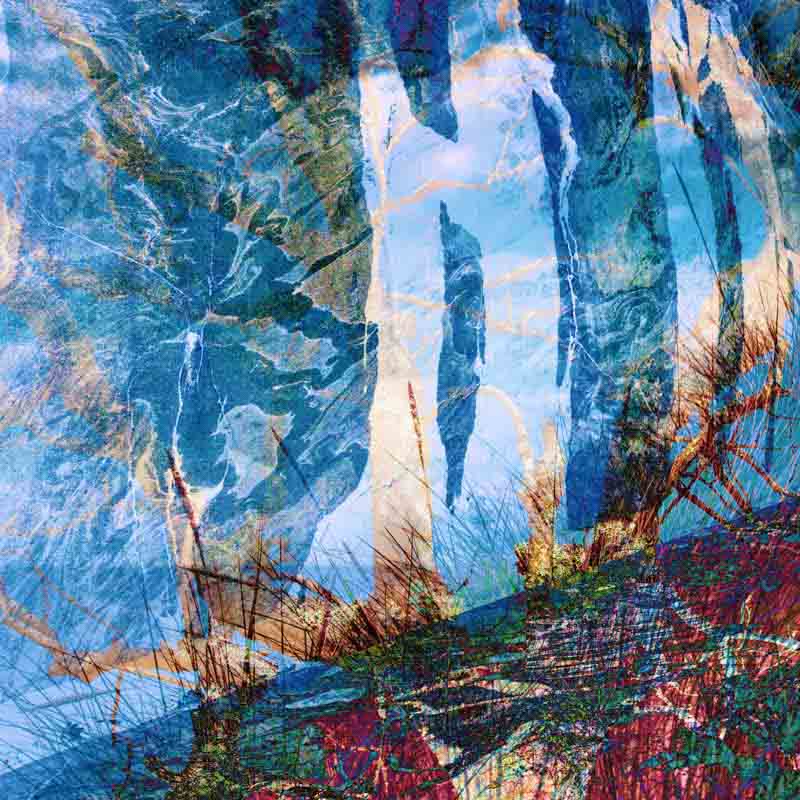 Veggbilder | Botanikk m&oslash;ter geologi | Fotokunst | Kunstfoto